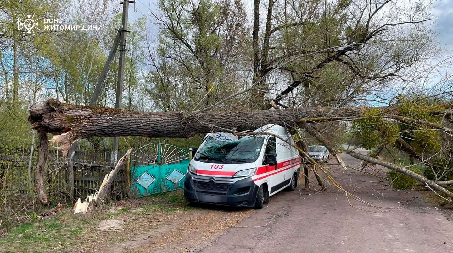 ДСНС: На Житомирщині дерево впало на “швидку”, на Київщині падіння дерев спричинило пожежу